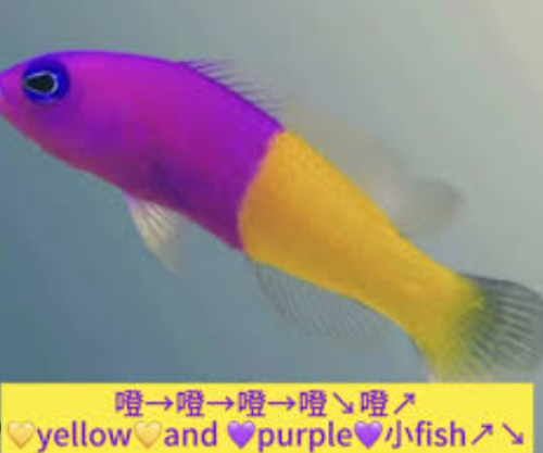 FldCs.md.png
